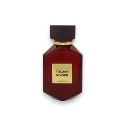 Camara Trojan Power Edp 100ml