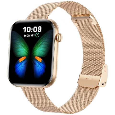 SMARTWATCH DAMSKI GRAVITY GT45-2- DODATKOWA BRANSOLETA (sg059b)