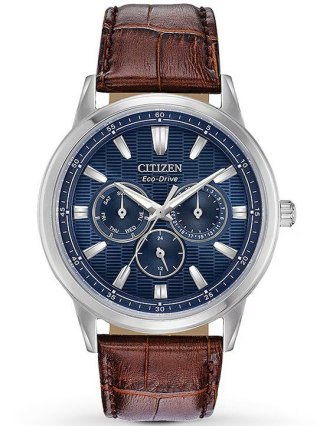 Zegarek Męski Citizen BU2070-12L