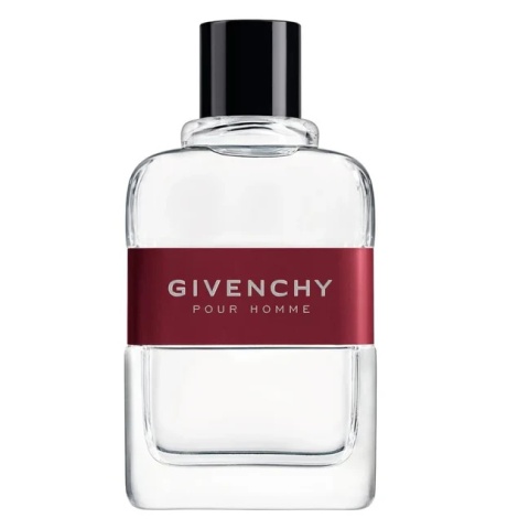 Givenchy Pour Homme Edt 100ml