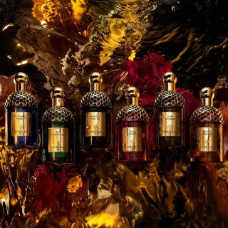 Guerlain Absolus Allegoria Oud Essentiel Edp 125ml