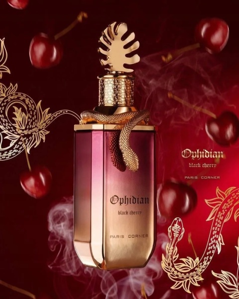 Paris Corner Ophidian Black Cherry Edp 100ml – arabskie perfumy unisex z wiśnią 🍒