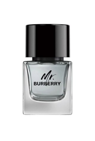 Burberry Mr. Burberry Edt 50ml