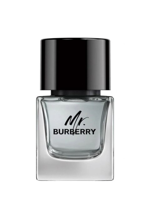 Burberry Mr. Burberry Edt 50ml