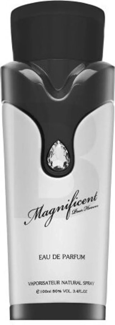 Armaf Magnificent Pour Homme Edp 100ml