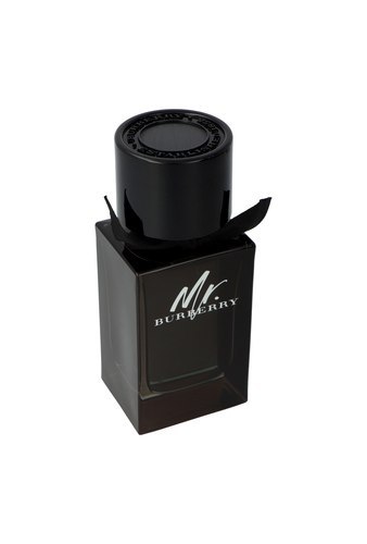 Burberry Mr. Burberry Edp 100ml