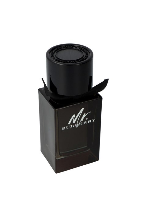 Burberry Mr. Burberry Edp 100ml
