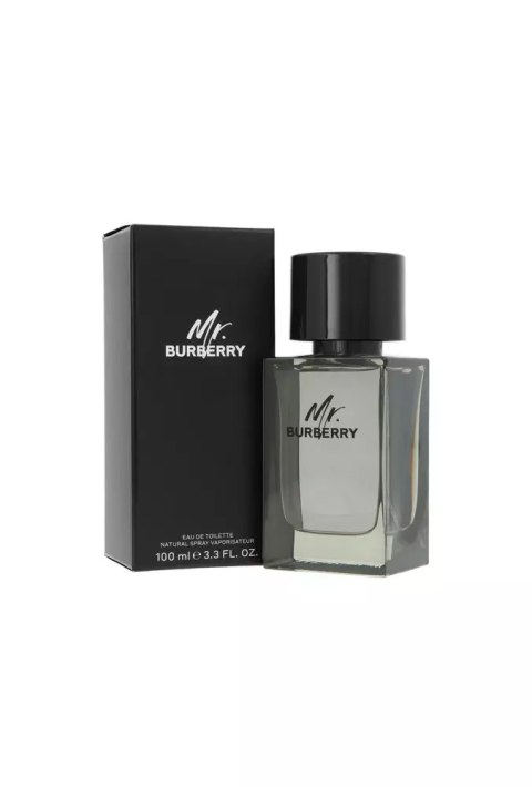 Burberry Mr. Burberry Edt 100ml