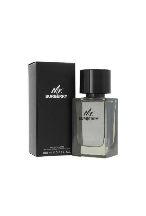 Burberry Mr. Burberry Edt 100ml