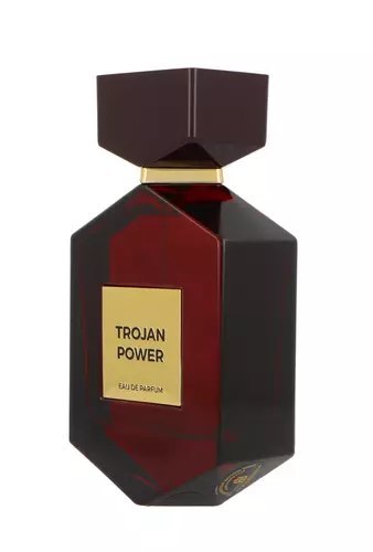 Camara Trojan Power Edp 100ml