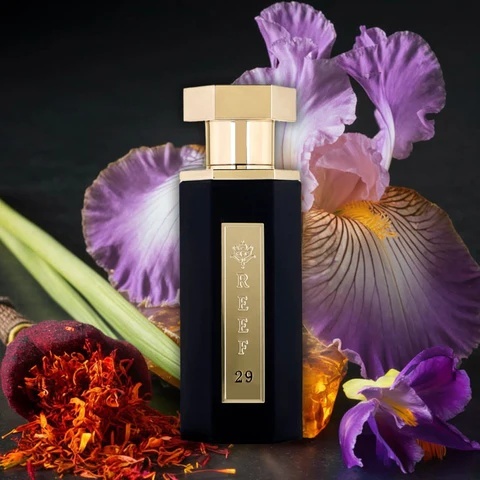 Reef 29 Edp 100ml