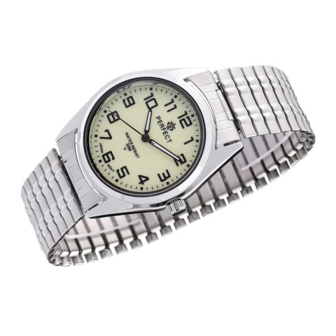 PERFECT X018-05 (zp396b)