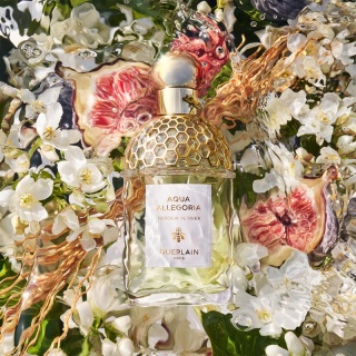 Guerlain Aqua Allegoria Nerolia Vetiver Edt 75ml Refillable