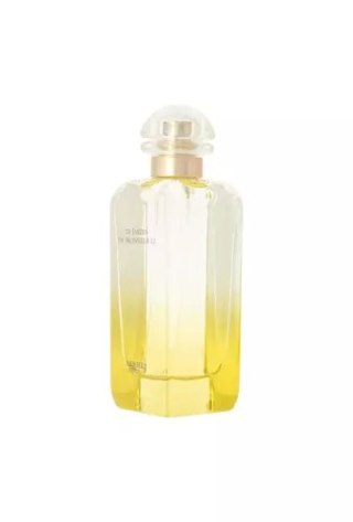 Tester Hermes Jardin Le Jardin De Monsieur Li Edt 100ml