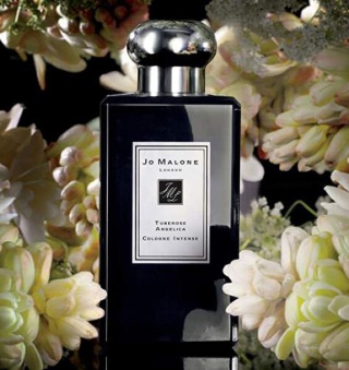Jo Malone Tuberose AnGelica Intense Edc 100ml