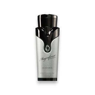 Armaf Magnificent Pour Homme Edp 100ml