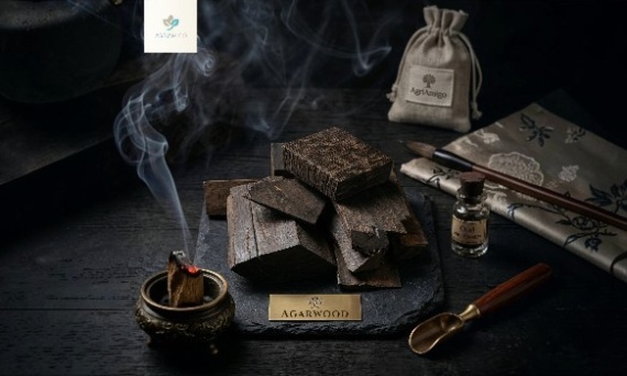 Oud – co to jest? Jak pachnie? Wszystko o oudzie w perfumach